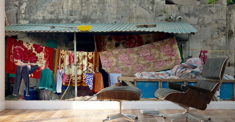 Waiting for the Laundry to Dry Wall Murals