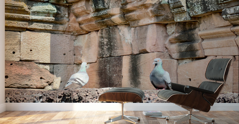 Birds in Historical Site Wall Murals