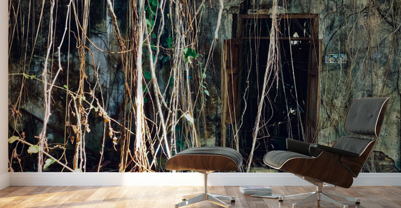 Find the Entrance Wall Murals