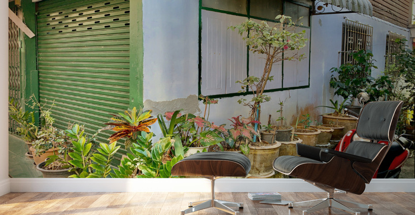Plants on the Corner Wall Murals