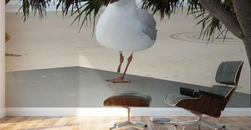 One Leg Balance Wall Murals