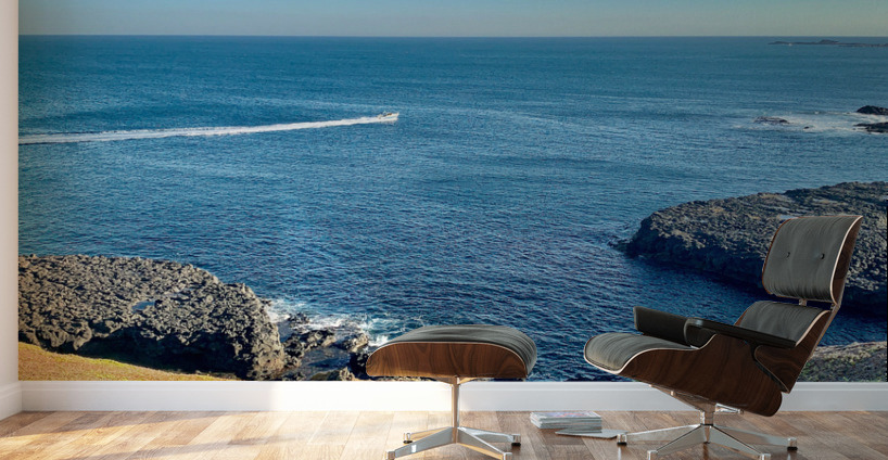 Beautiful Ocean Wall Murals