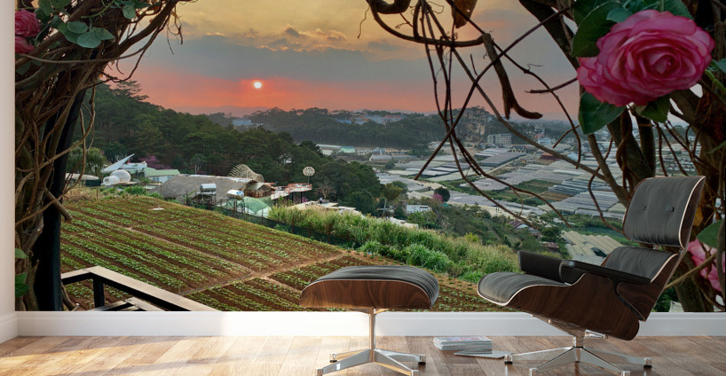 Ring of Roses for Sunset Wall Murals