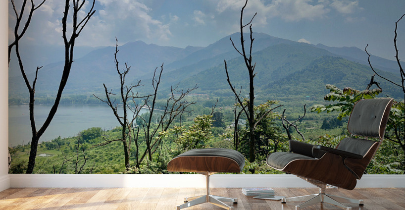 Mountains Behind the Branches Wall Murals