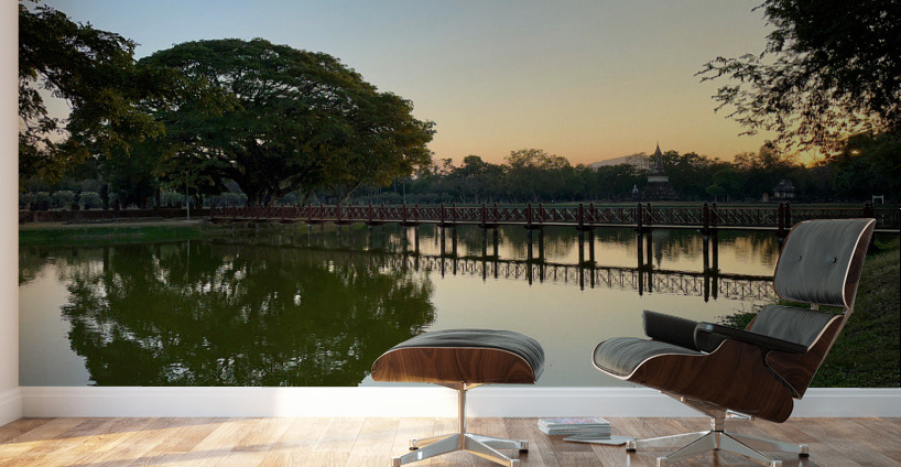 Nice Tree Reflection on the Lake Wall Murals