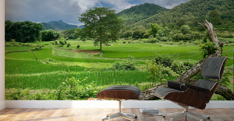 Beautiful Green Scenery Wall Murals