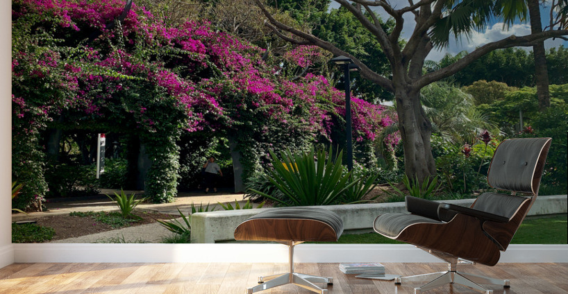 At the Park in Brisbane Wall Murals