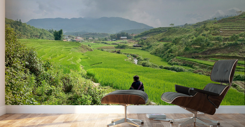 Looking Over the Rice Fields Wall Murals