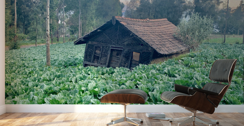 Little Cabbage House Wall Murals