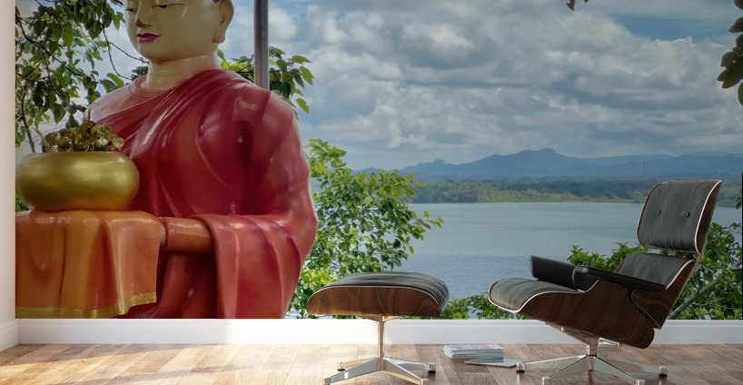 The Monkey and the Monk Wall Murals