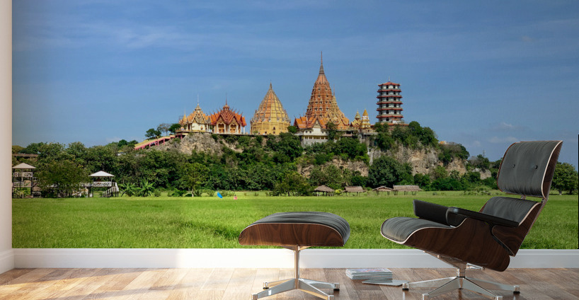 Wat Tham Suea 5 Wall Murals