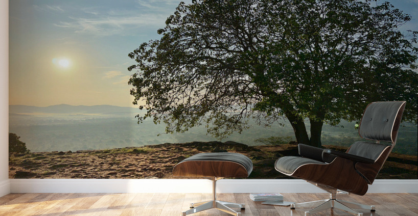 Sunrise on Top of Sigiriya Sri Lanka 12 Wall Murals