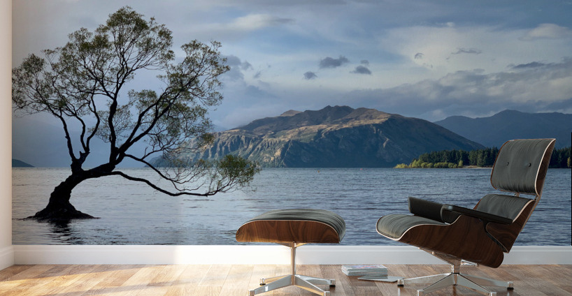 The Wanaka Tree New Zealand Wall Murals