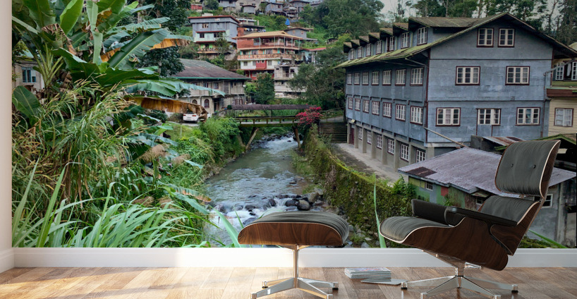 Blue House by the River 2 Wall Murals