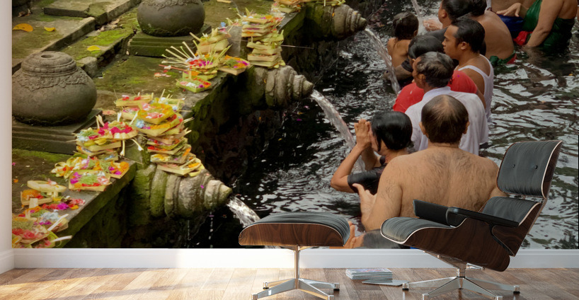 Bali Holy Water Wall Murals