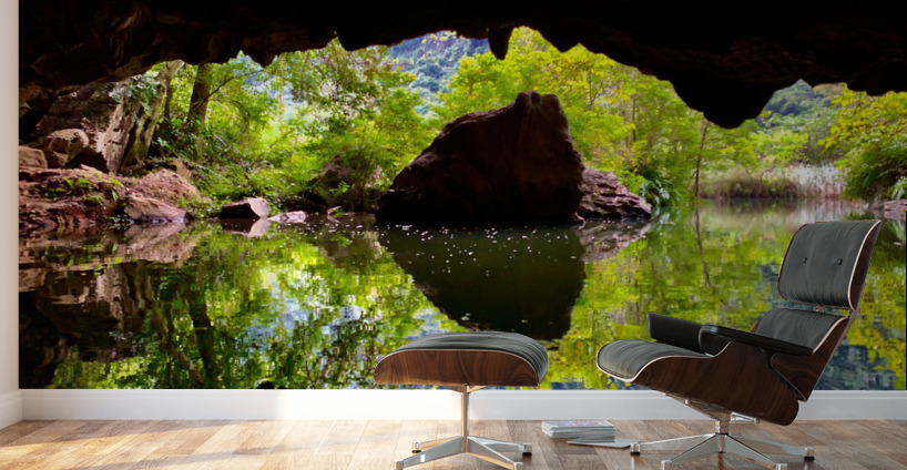 Cave Reflections Wall Murals