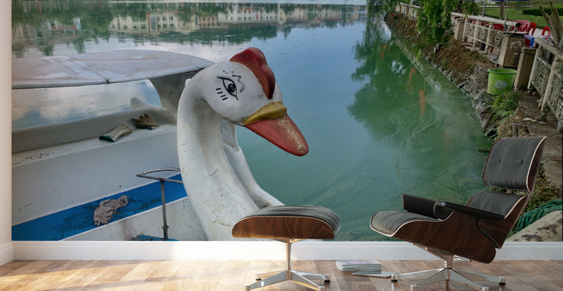 Swan Boat on the Lake Wall Murals