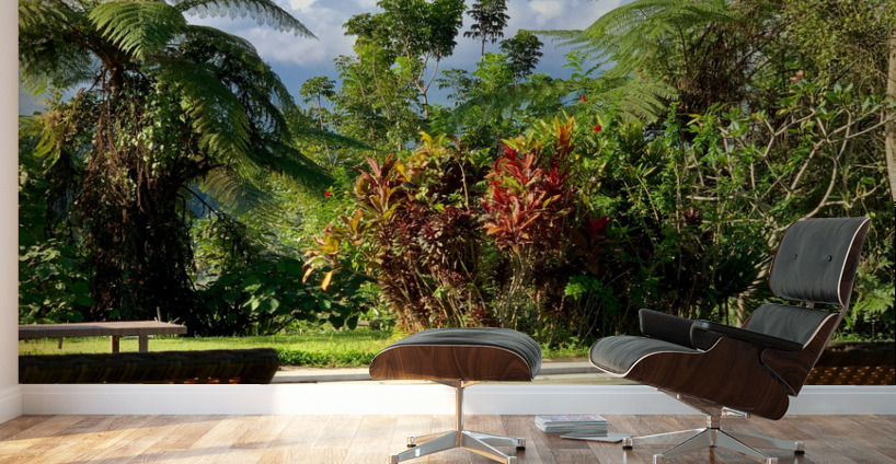 By the Pool with a view on Mount Agung Bali Wall Murals