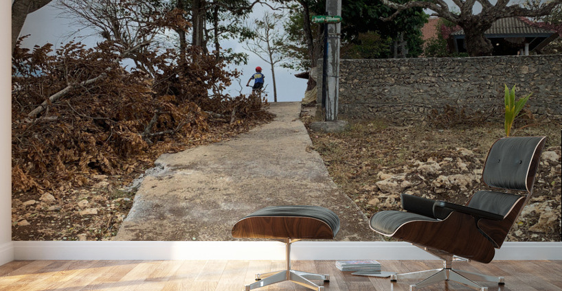 Cycling Up the Hill Wall Murals