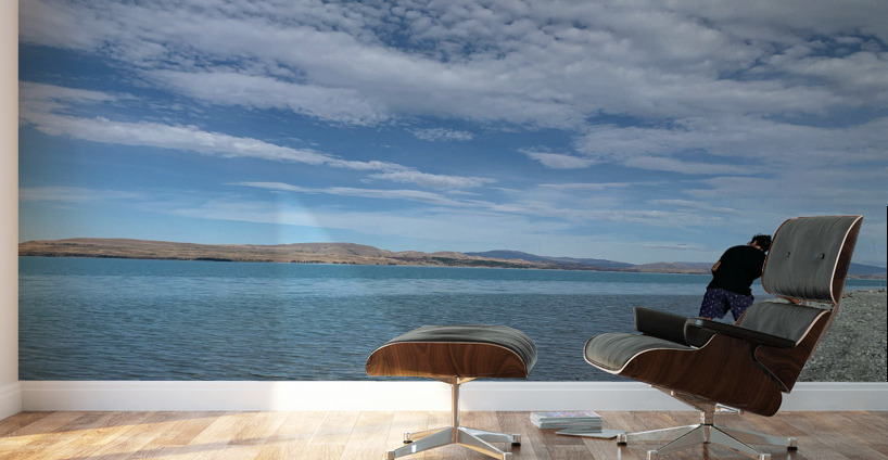 Rock Throwing on the Lake Wall Murals