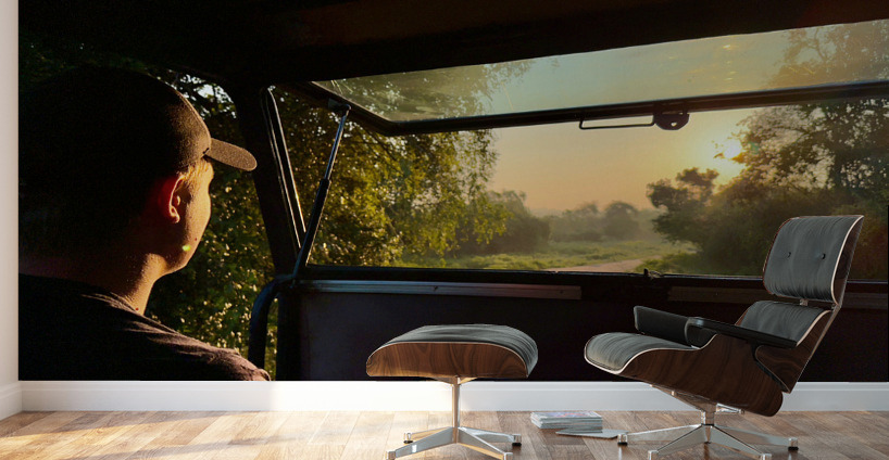 Safari Time Wall Murals