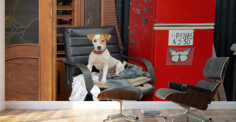 The Red Fridge and the Dog 2 Wall Murals