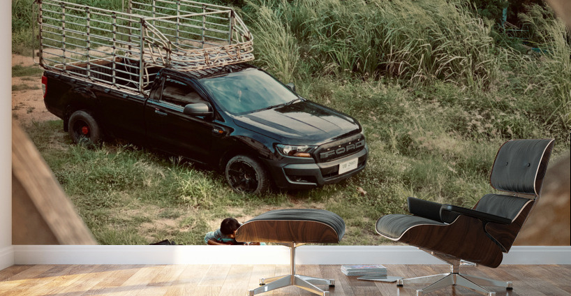 Ukulele Time Wall Murals