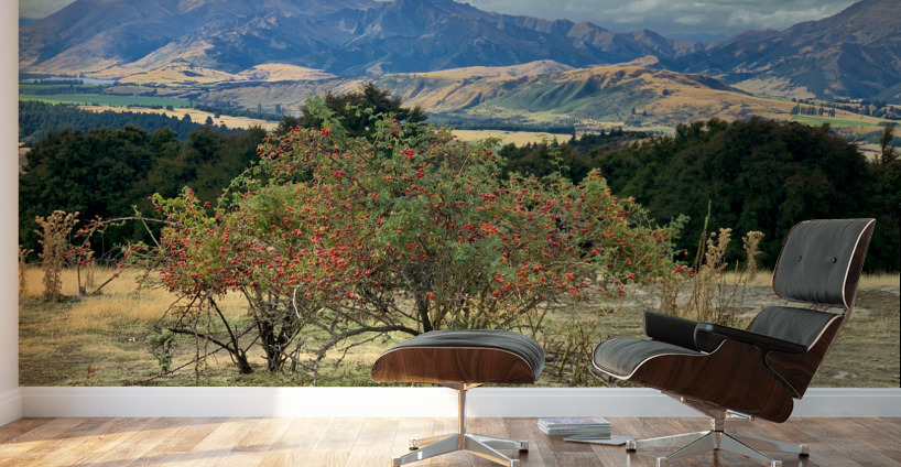 View From Mount Iron New Zealand After a Storm 6. Wall Murals