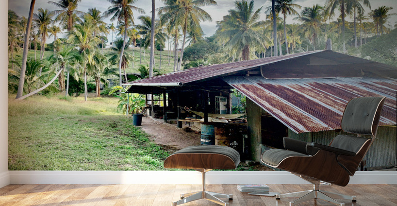 Big Rusty Shack Coconut Wall Murals