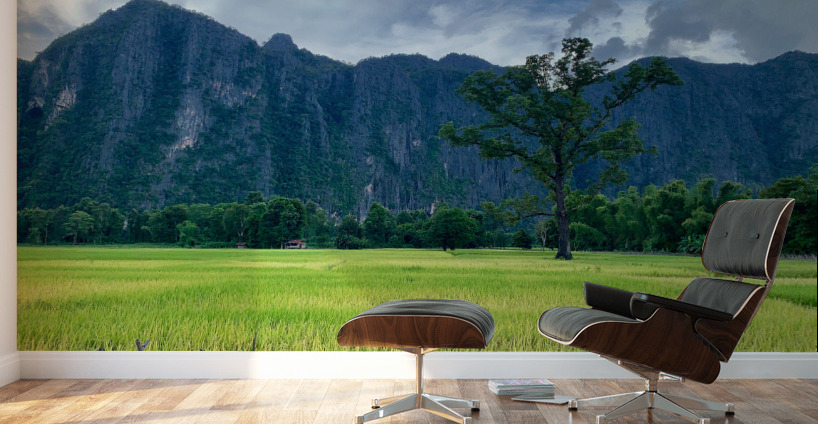 Laos Mountains Wall Murals
