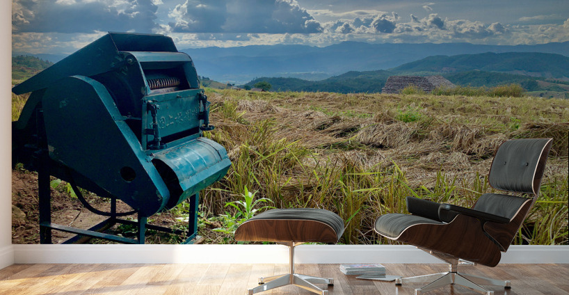 Rice Mill in the Field Wall Murals