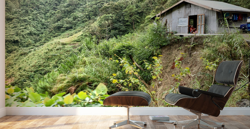 Living in the Mountains Wall Murals