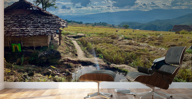 Sun Reflecting in the Puddle Wall Murals