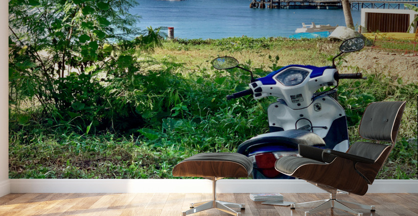Koh Nang Yuan and Motorbike Wall Murals