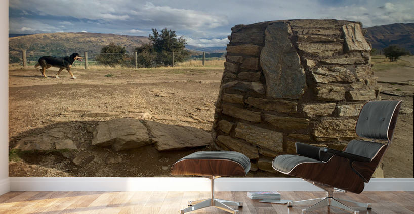 Dog on the Top of Mount Iron New Zealand Wall Murals