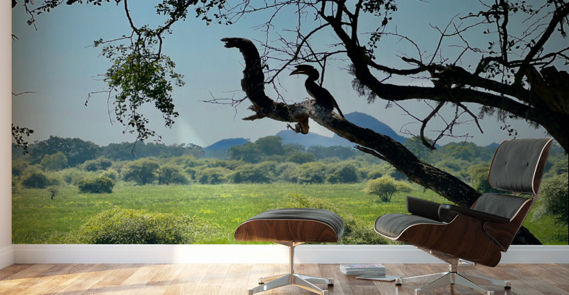 Yala National Park Sri Lanka 4 Wall Murals