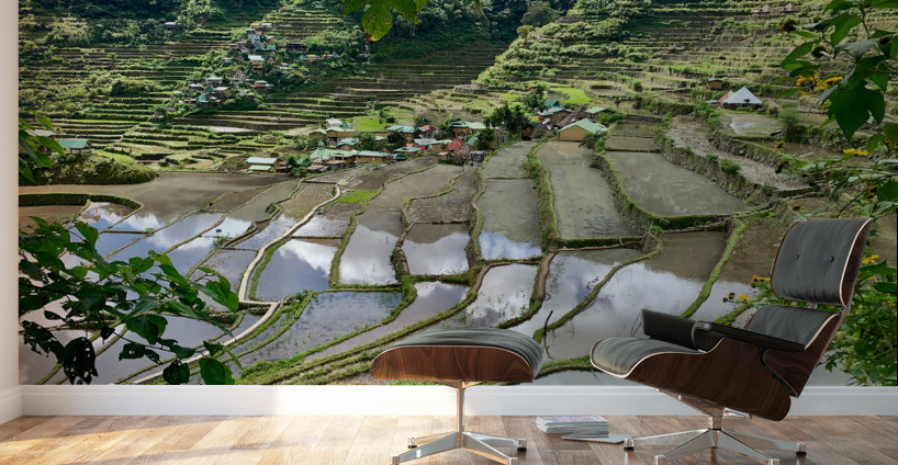 Banaue Philippines 11 Wall Murals