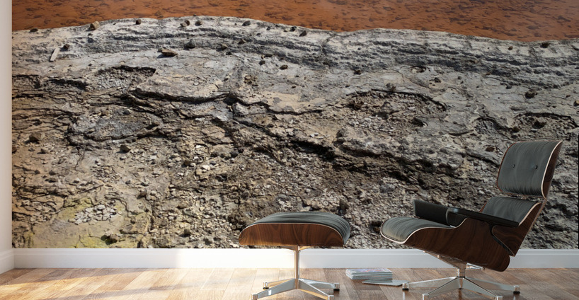 Wai O Tapu Thermal Wonderland 1 Wall Murals