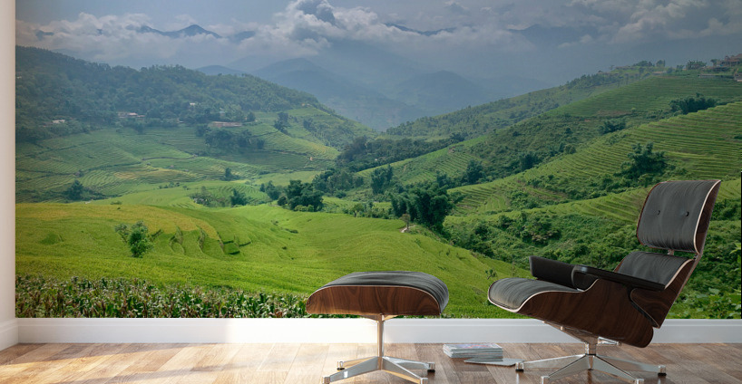 Rice Fields in Sapa 3 Wall Murals