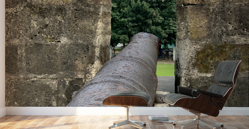 A Cannon in Manila Wall Murals