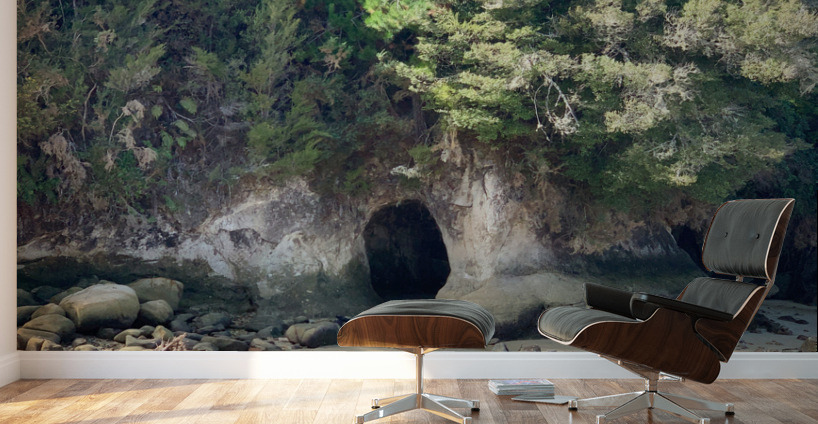 Abel Tasman National Park New Zealand 2 Wall Murals