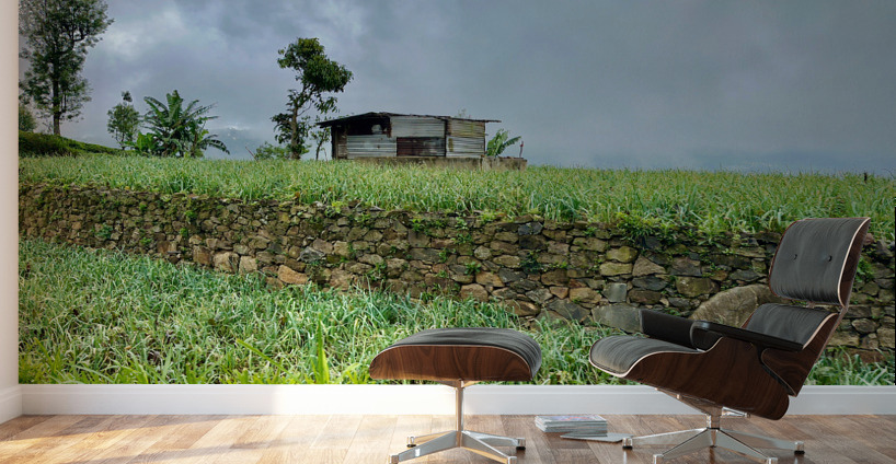 Leveled Field House Wall Murals