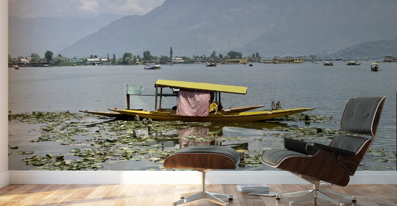 Dal Lake Srinagar 9 Wall Murals