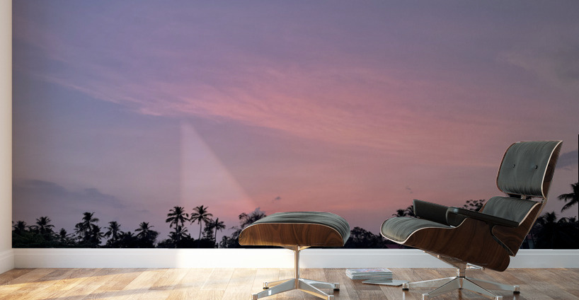 Purple sky of Varkala Wall Murals