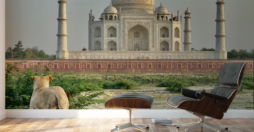 The Taj Mahal Collection 9 Wall Murals