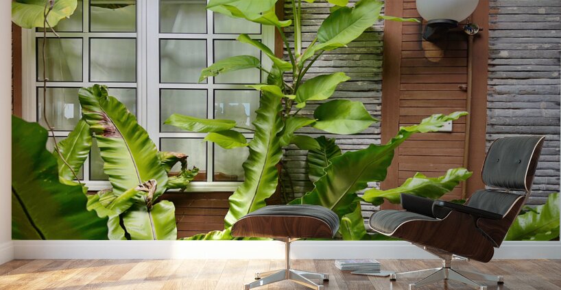 Maboul Island 19 Wall Murals