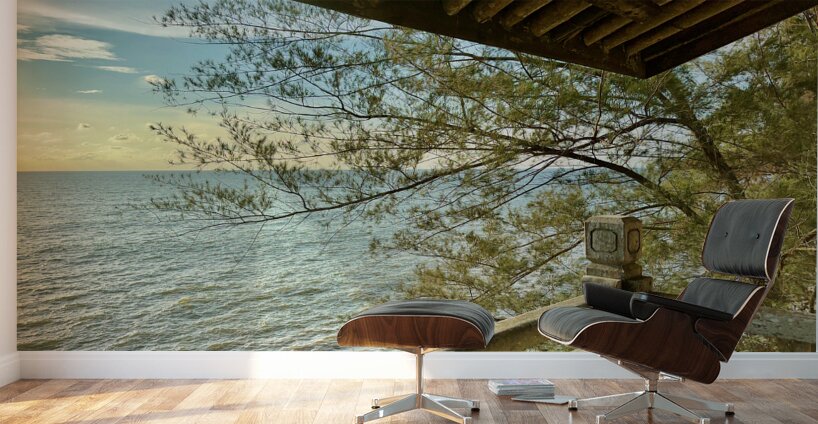 From the Balcony in Miri 1 Wall Murals