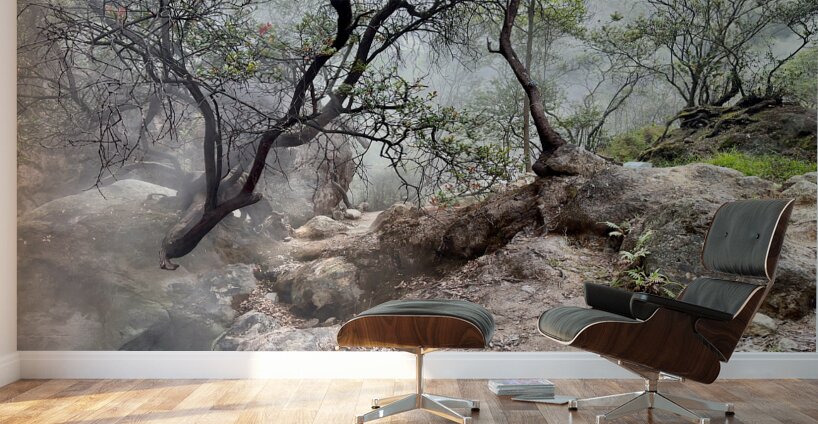 Cibuni Rengganis Crater Java Indonesia 6 Wall Murals