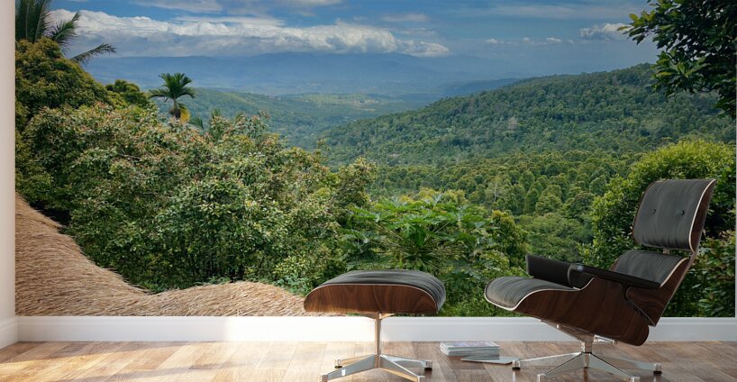 From the Rooftop Munduk Bali Wall Murals