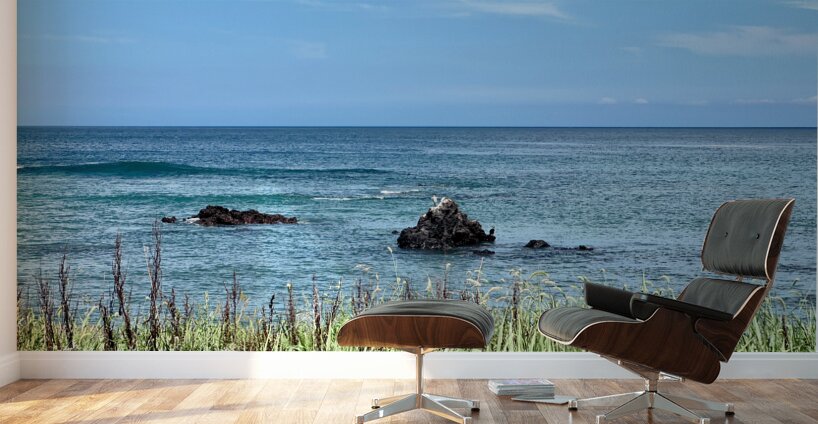 Calm Ocean Udo South Korea Wall Murals